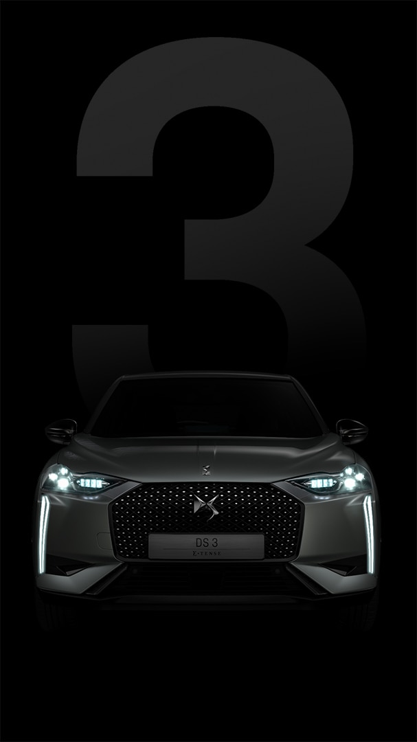NEW DS 3